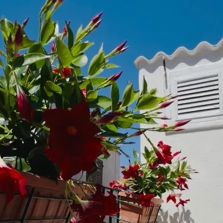 Donna Lucia Apulian Experience Apartment Ruvo di Puglia